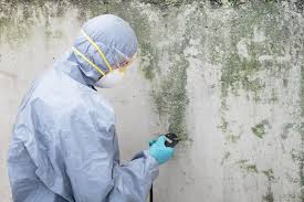 Best Mold Damage Restoration  in Squaw Valley, CA